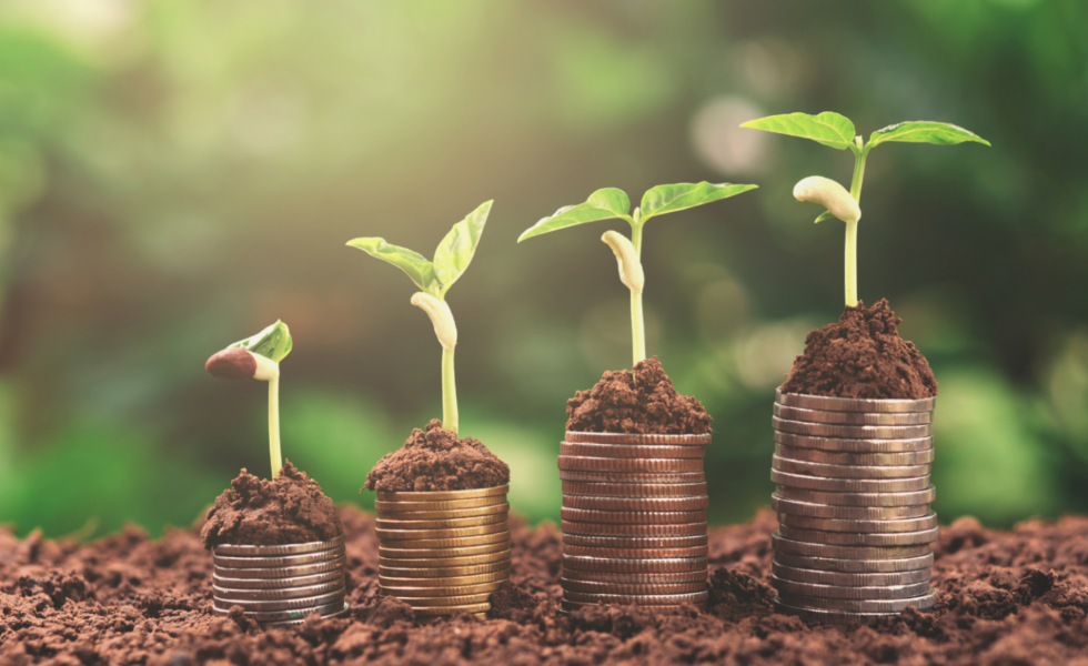 Comment Financer Votre Formation : Les Solutions Disponibles avec IRFA SUD